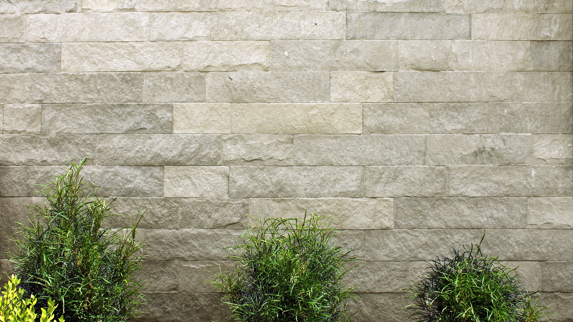 Stone wall with Maya Neo Ledge: Sawn think veneer
