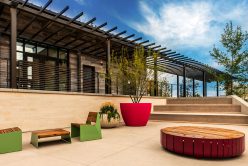 Camilla Neo Planks thin veneer installed on commercial project.