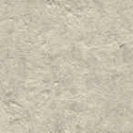 cream finish brushed