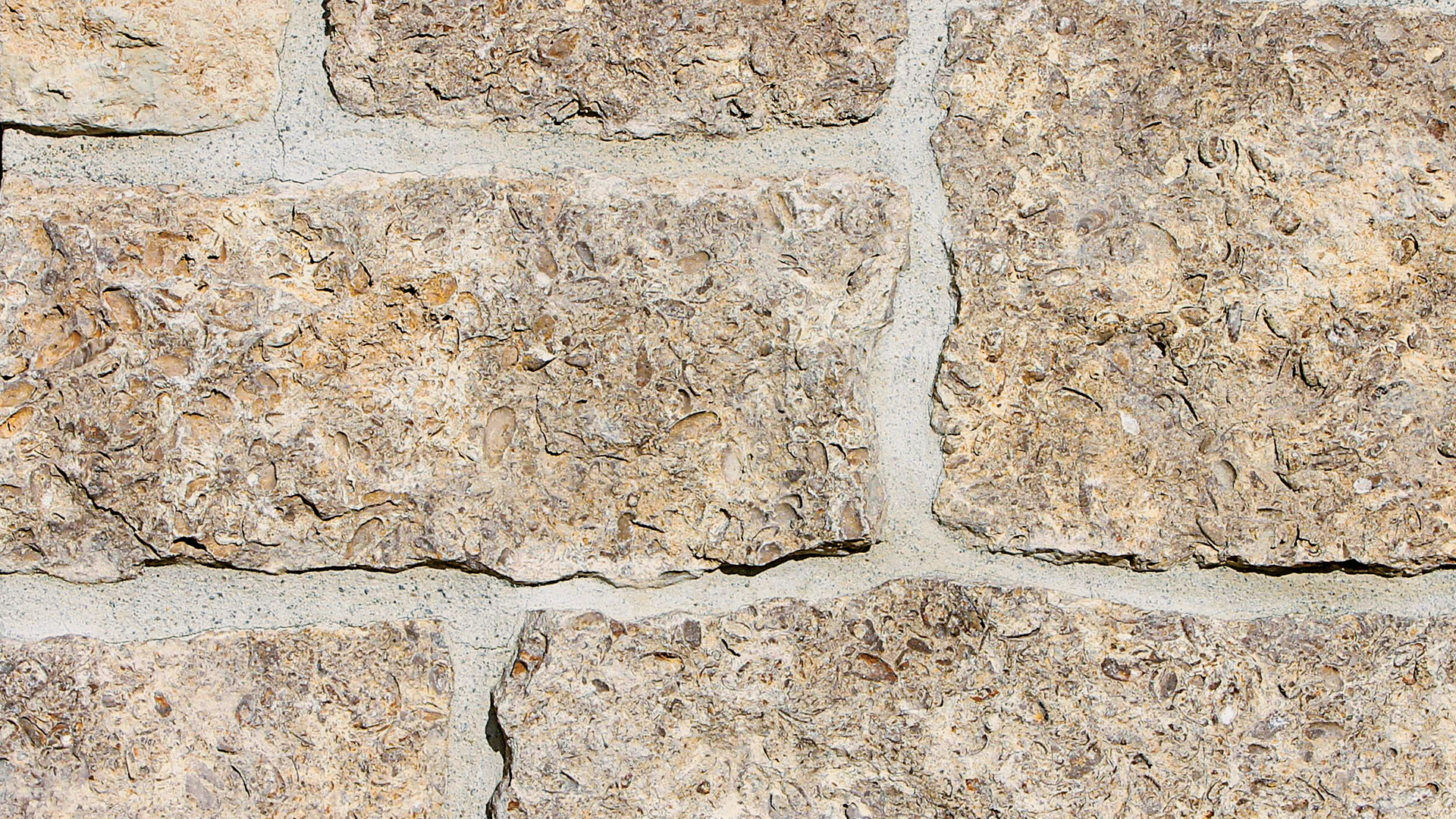 Mocha Shell Rubble color profile