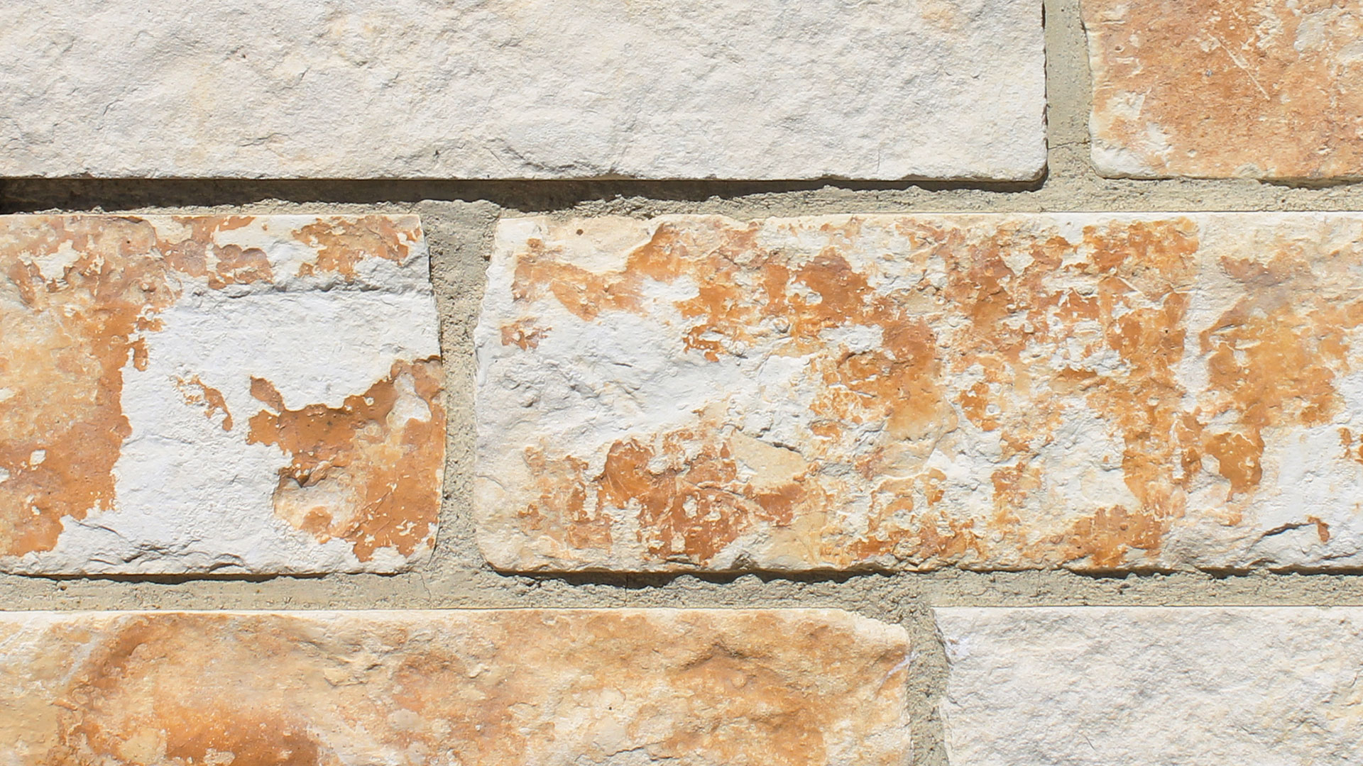 montgomery gold traditional color profile