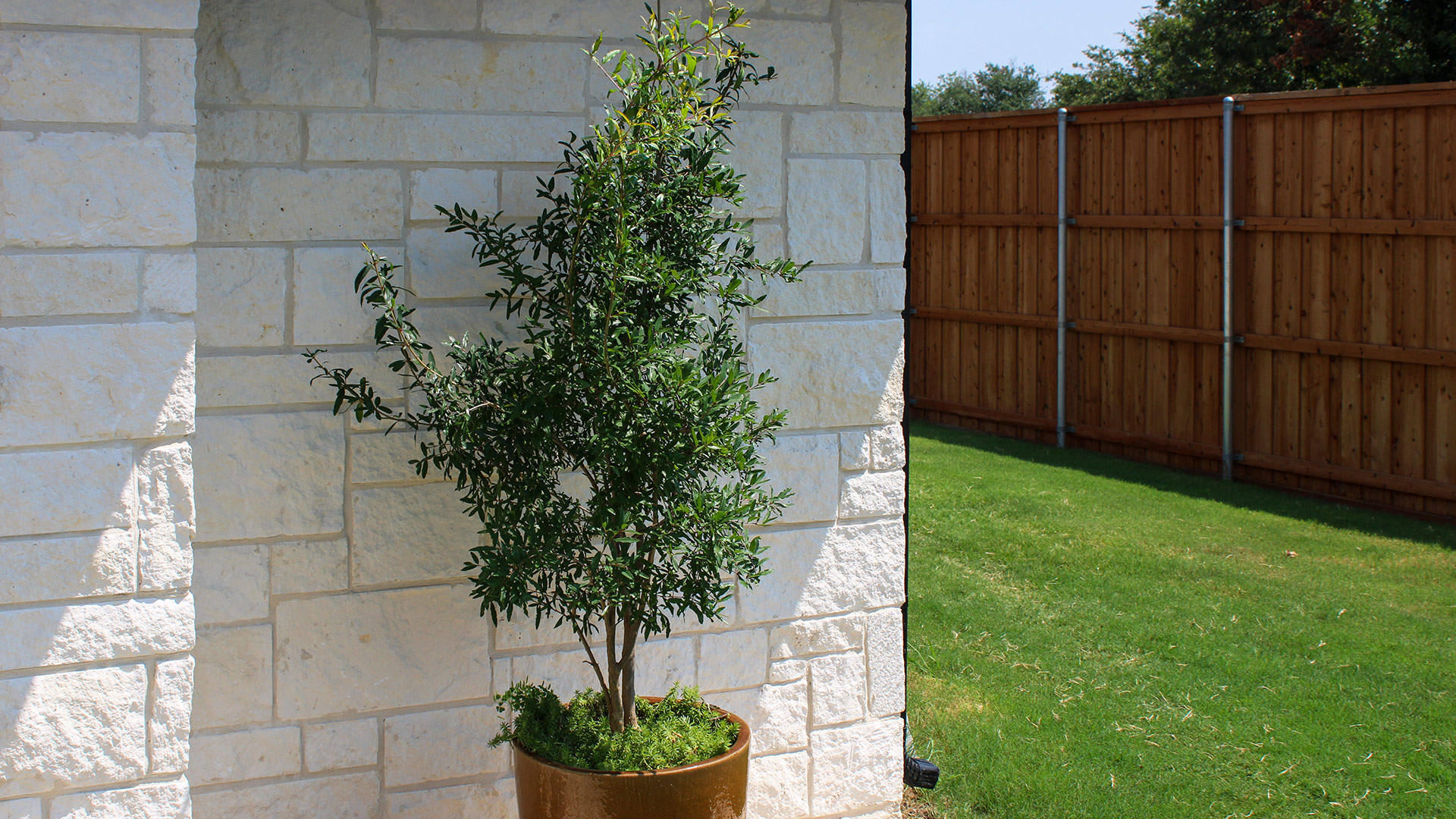 Blanco Traditional natural stone thin veneer installed on exterior of home.